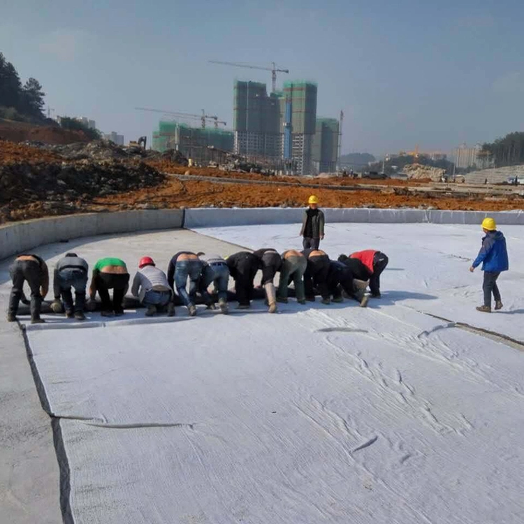 Geosynthetic Materials High Strength Non Woven Geotextile Reinforcement Underlayment Filter Landscape Fabric Cloth for Construction in Egypt