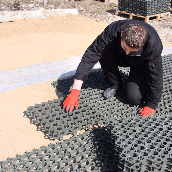 Griglie per erba finitrice in plastica Griglia per finitrici