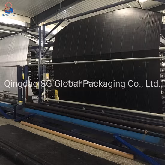 Tessuto geotessile Controllo delle infestanti Copertura del terreno Recinzione del limo Stabilizzazione del tessuto non tessuto Geotessile tessuto PP per il rinforzo del suolo Prevenzione dell'erba