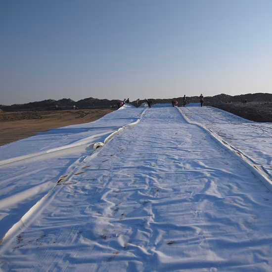 Materiali geosintetici Tessuto geotessile non tessuto ad alta resistenza per il sottostrato di rinforzo del filtro geotessile per la costruzione in Egitto