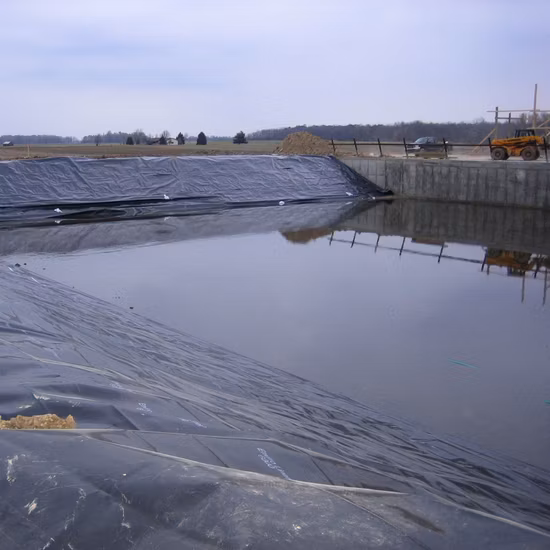 Produttore personalizzato di geomembrane testurizzate/composite in HDPE/LDPE/PE/EV/BCE/PVC per acquacoltura/allevamento ittico/gamberetti/stagno/diga/discarica/estrazione mineraria/sale/rivestimento di coda