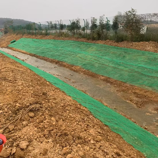 Geostuoia 3D per la protezione del pendio della diga del canale ferroviario autostradale Em2