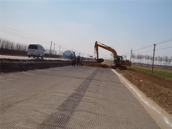 Materiale per costruzioni stradali Geogriglia biassiale in plastica PP da 30 kn