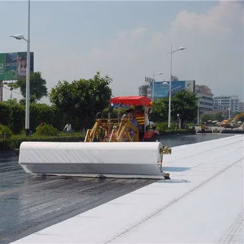 Geotessile non tessuto perforato con ago in fibra di poliestere/polipropilene di colore nero/bianco spunbonded/fibra per filtrazione, isolamento, rinforzo