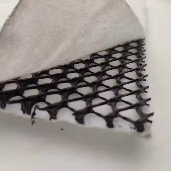 Rete di drenaggio Geonet in plastica geotessile composita di alta qualità